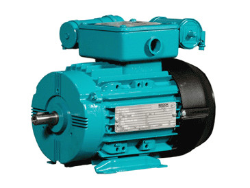 英國(guó)BROOK電機(jī)