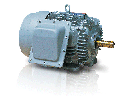 大同電機(jī) (1)